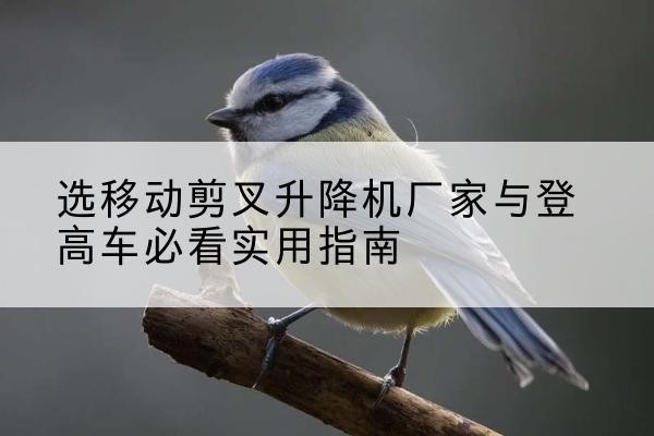 昂昂溪电动升降机厂家-选移动剪叉升降机厂家与登高车必看实用指南