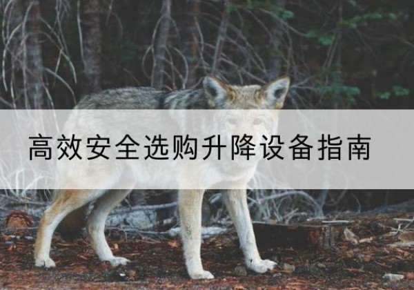 昂昂溪升降货梯厂家推荐-*安全选购升降设备指南