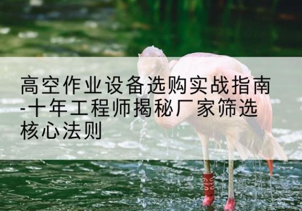 昂昂溪剪叉式升降机厂家-高空作业设备选购实战指南-十年工程师揭秘厂家筛选核心法则